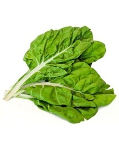 ACELGA PAQUETE