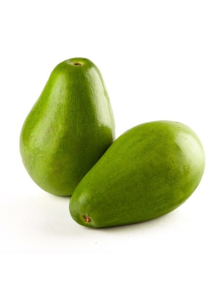 AGUACATE PAPELILLO KILO