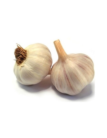 AJO CHILENO PAQUETE 3 UN