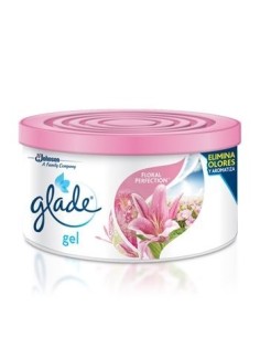 GEL FIJADOR 500 GR