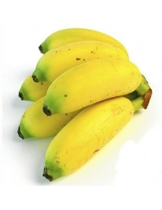 BANANO BOCADILLO  KILO
