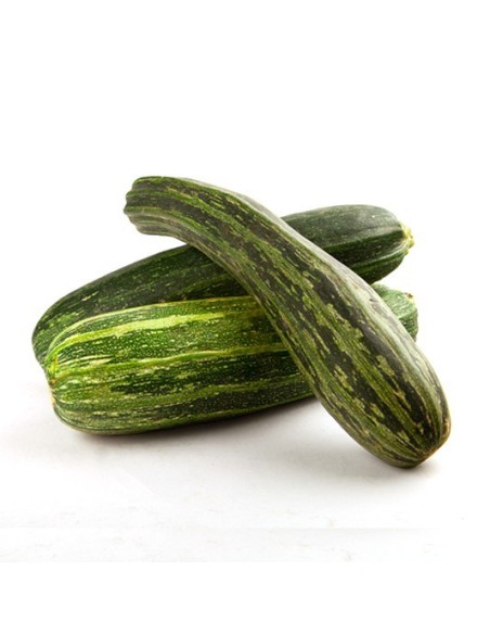 CALABACIN KILO
