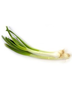 CEBOLLA LARGA KL 
