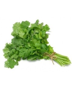 CILANTRO ATAO