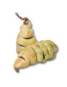 CUBIOS PAQUETE