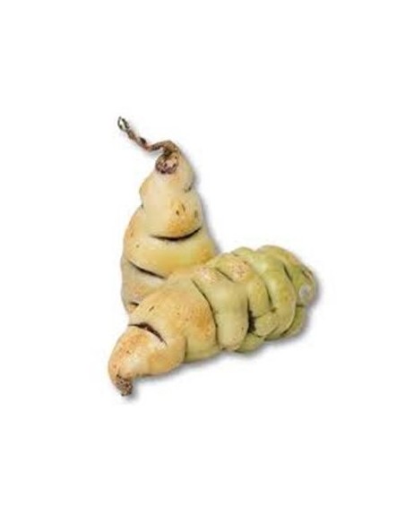 CUBIOS PAQUETE CUBIOS PAQUETE