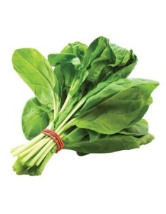 ESPINACA PAQUETE