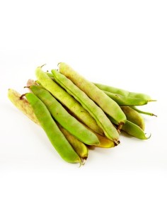 FRIJOL EN CASCARA KILO