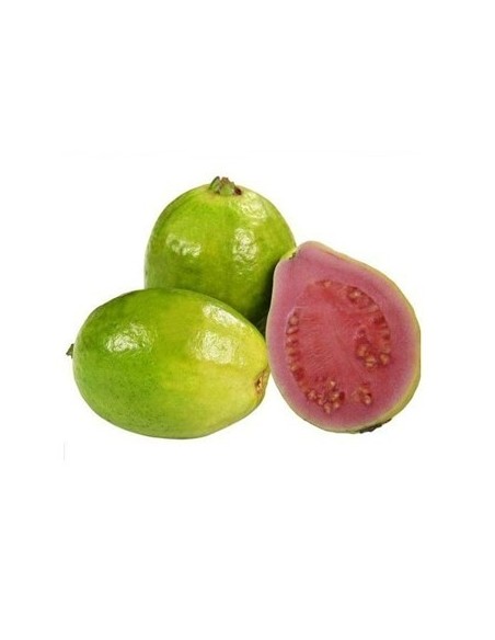 GUAYABA PERA KILO