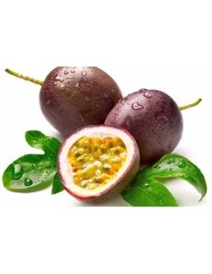 GULUPA KILO