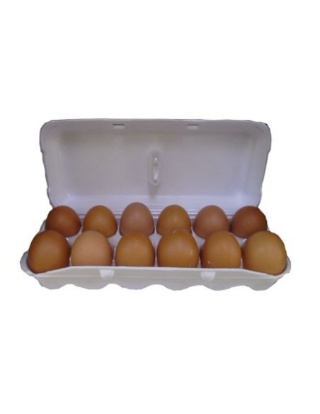 HUEVOS ARROYAVE 12 UNIDADES
