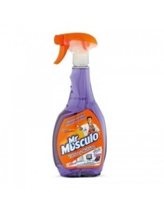 LIMPIA VIDRIOS PISTOLA MR MUSCULO