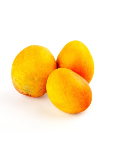 MANGO COMUN  KILO