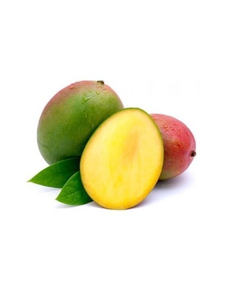 MANGO TOMY KILO