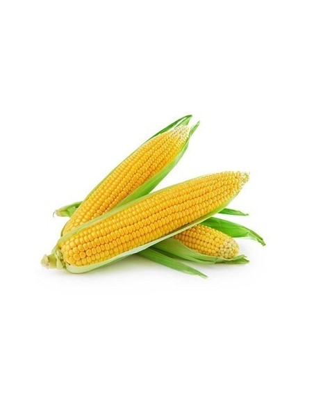 MAZORCA TUZA KILO