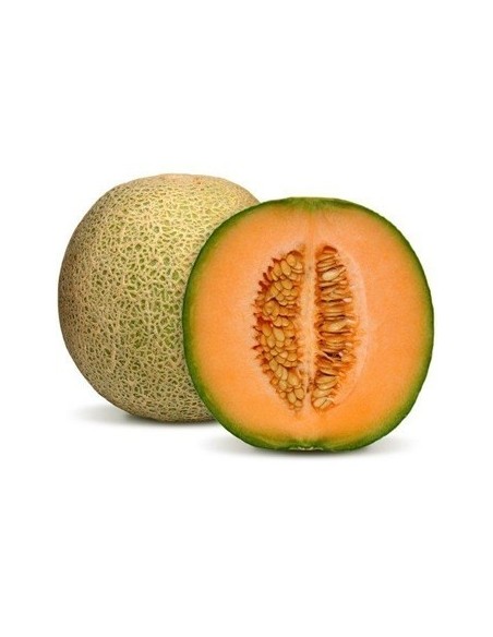 MELON  KILO MELON  KILO