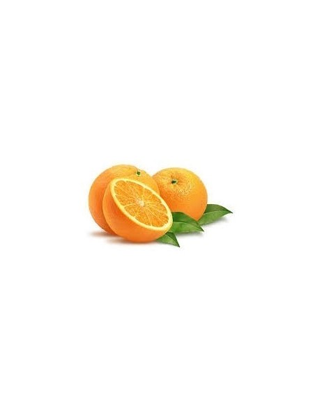 NARANJA TANJELO KILO NARANJA TANJELO KILO