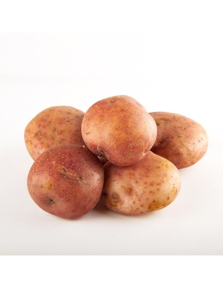 PAPA SABANERA KILO PAPA SABANERA KILO