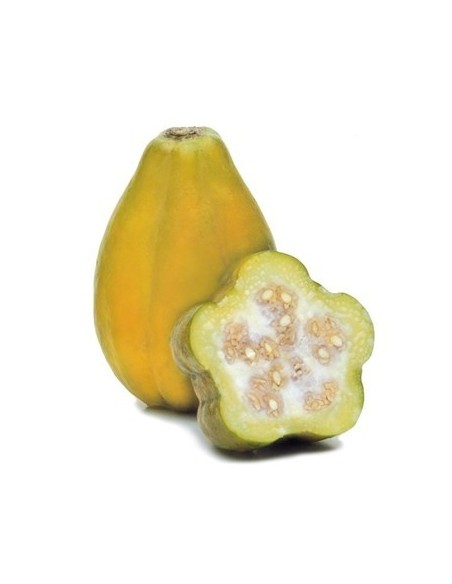 PAPAYUELA KILO PAPAYUELA KILO
