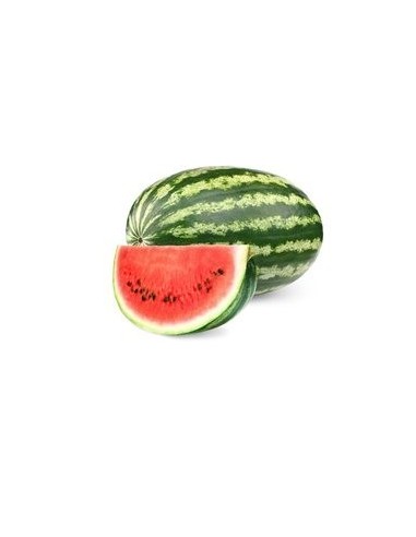PATILLA GRANDE KL