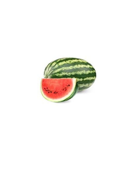 PATILLA GRANDE KL