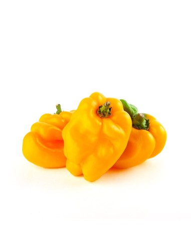 PIMENTON AMARILLO KILO