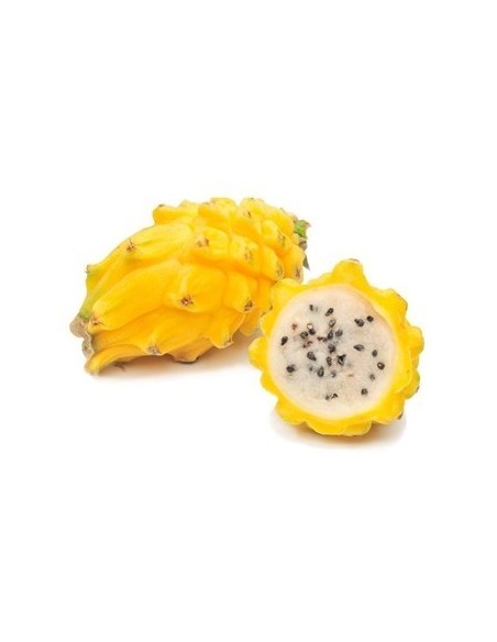 PITAYA KILO PITAYA KILO