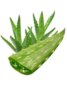 SAVILA