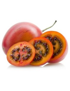 TOMATE  ARBOL KILO