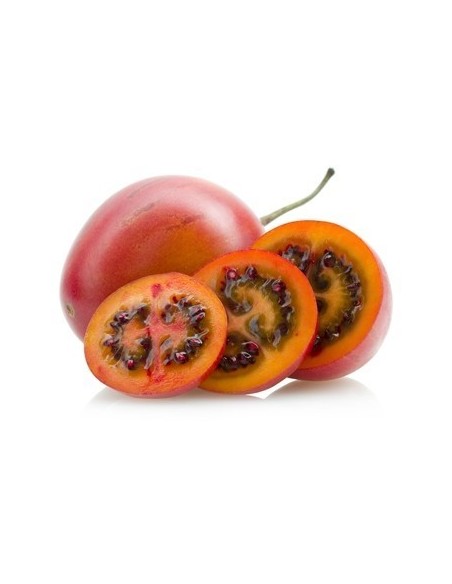 TOMATE  ARBOL KILO TOMATE  ARBOL KILO