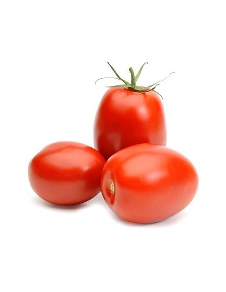 TOMATE CHONTO KILO
