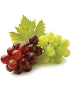 UVA ROJA  Y VERDE KILO