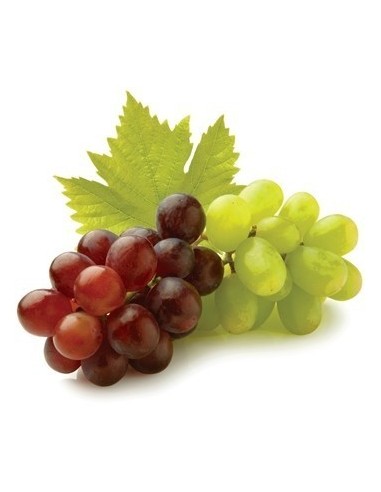 UVA ROJA  Y VERDE KILO