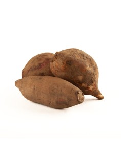 YACON