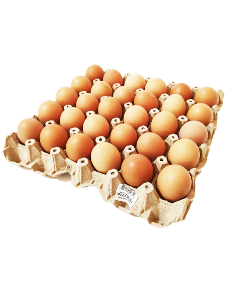 HUEVOS CUBETA 30 UN EXTRA HUEVO Q RIE